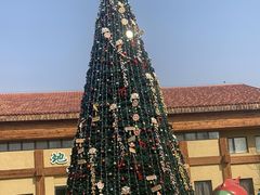 -南宫五洲植物乐园