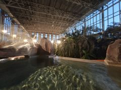 -中家鑫园温泉酒店鑫悦汤泉