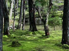 -西芳寺(苔寺)