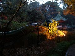 -申粤轩酒楼·三十年粤菜经典(丁香花园店)