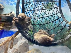 -合肥海洋世界