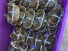 -蟹天蟹地农家菜·阳澄湖大闸蟹(浅水湾店)