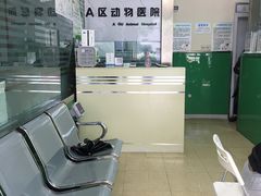 -半岛宠物医院24小时(科华中路店)