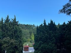 -棒棰岛宾馆景区