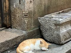 -吴财记面家(大同路店)