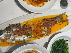 -绿杨春·淮扬宴(庐山路店)