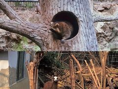 -杭州动物园