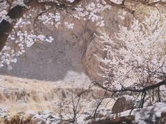 -新疆那拉提国家旅游度假区