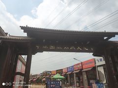 -中环花鸟鱼虫市场