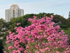 -荔香公园