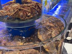 -新海渔港·胶东海鲜家常菜·家宴(奥体中心店)