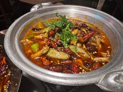 -辛香汇·锦里丨现炒川菜(中南城店)