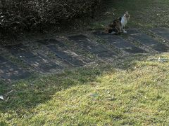 -广东外语外贸大学(白云山校区)