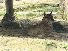 -石家庄市动物园