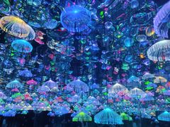 -天津梵高星空艺术馆(天河城旗舰店)