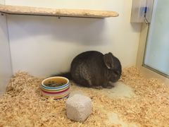 -龙猫仔乐园(惠福东路店)