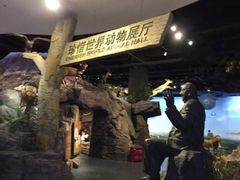 -陕西自然博物馆