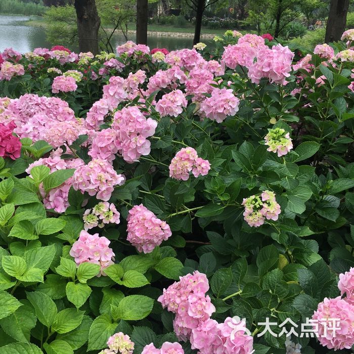 上海辰山植物園