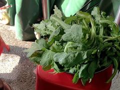 -麻伊伏土菜馆(朗州路店)