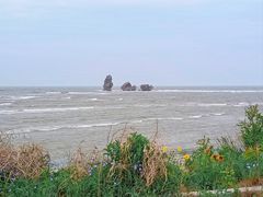 -碣石国家级海洋公园