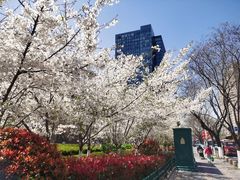 -青岛市图书馆