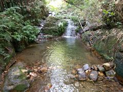 -羚羊峡古栈道森林公园