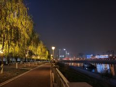 -月湖风景区