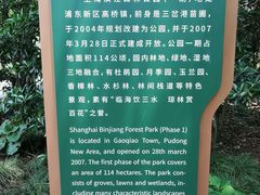 -上海滨江森林公园