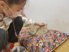 -柴迷FANS CLUB·柴犬狗咖·猫咖