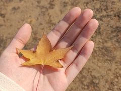 -山城盅盅面