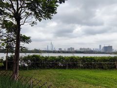 -海珠湖公园