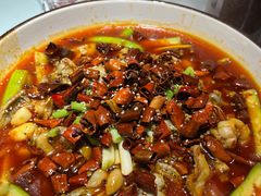 -雲蜀龙阁·金牌水煮鱼(方庄店)