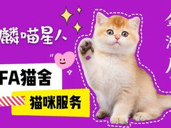 -十年猫舍·猫咪专门店(普陀店)