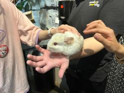 -Zoolung Zoolung动物主题公园(海信广场店)