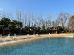 -上海东方佘山翰悦阁酒店·Vie全日制餐厅