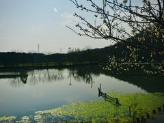 -八卦田遗址公园