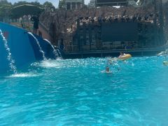 -平湖九龙山乐满地水上乐园