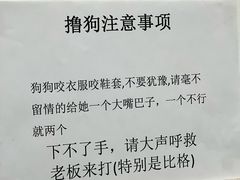 -有喵·猫咖·狗咖·30几只猫10只小狗(岗厦店)