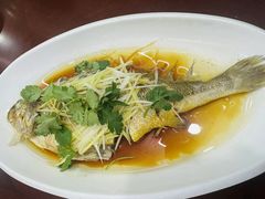清蒸黄鱼-望海潮海鲜店 特色家常菜(在海一方店)