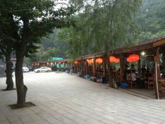 android_upload_pic-劳模山庄