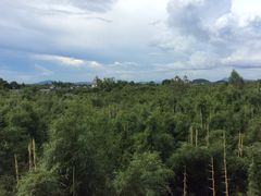 -开平碉楼文化旅游区马降龙景区