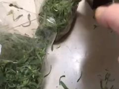 -果蔬好生活超市(双井店)