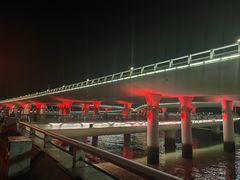 -演武大桥观景平台