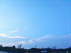 -佛手湖郊野公园