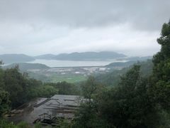 -黄贤森林公园