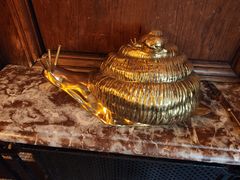 -金蜗牛