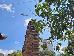 -大德寺双塔