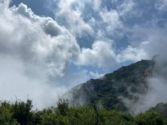 -白草畔自然风景区