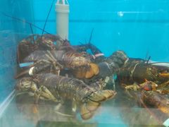 -福泉海码头(六里山店)