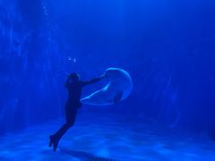 -多彩贵州城极地海洋世界